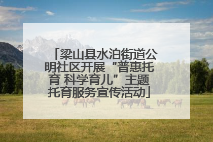 梁山县水泊街道公明社区开展“普惠托育 科学育儿”主题托育服务宣传活动