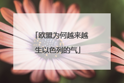 欧盟为何越来越生以色列的气