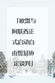 欧盟与阿联酋正式启动自由贸易协定谈判