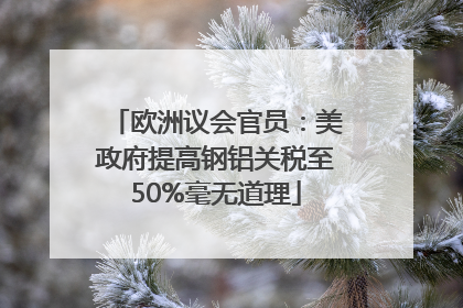 欧洲议会官员：美政府提高钢铝关税至50%毫无道理