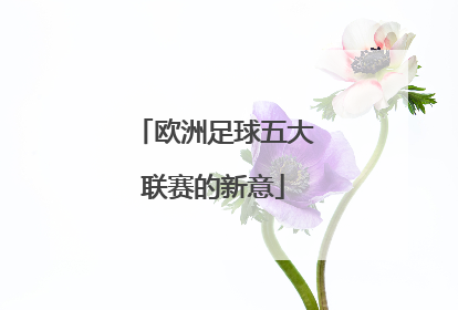 欧洲足球五大联赛的新意