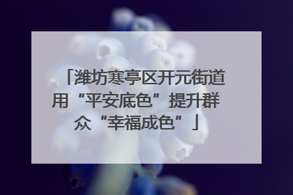 潍坊寒亭区开元街道用“平安底色”提升群众“幸福成色”