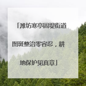 潍坊寒亭固堤街道图斑整治零容忍，耕地保护见真章