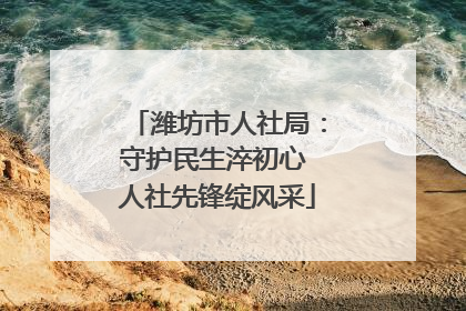 潍坊市人社局：守护民生淬初心 人社先锋绽风采