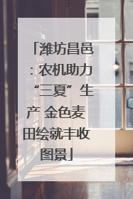 潍坊昌邑：农机助力“三夏”生产 金色麦田绘就丰收图景