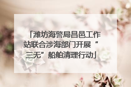 潍坊海警局昌邑工作站联合涉海部门开展“三无”船舶清理行动