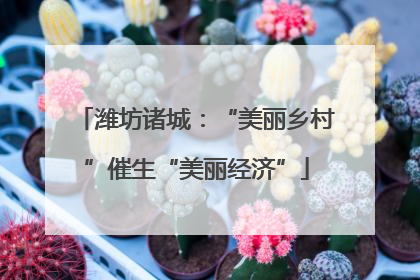 潍坊诸城：“美丽乡村”催生“美丽经济”