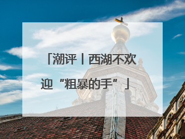 潮评丨西湖不欢迎“粗暴的手”