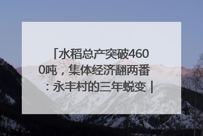 水稻总产突破4600吨，集体经济翻两番：永丰村的三年蜕变｜您牵挂的四川