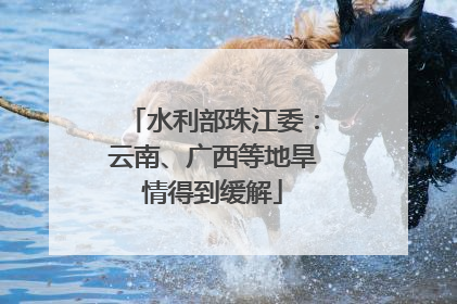 水利部珠江委：云南、广西等地旱情得到缓解
