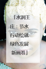 水润王庄：节水行动绘就绿色发展新画卷