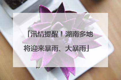 汛情提醒！湖南多地将迎来暴雨、大暴雨
