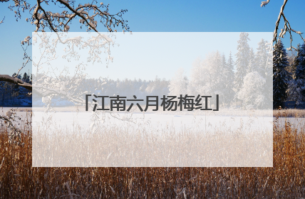 江南六月杨梅红