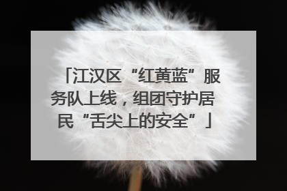 江汉区“红黄蓝”服务队上线，组团守护居民“舌尖上的安全”