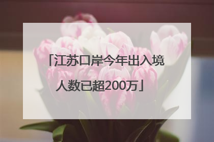 江苏口岸今年出入境人数已超200万