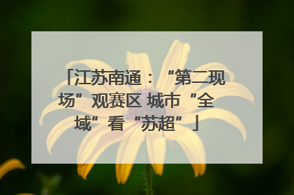 江苏南通：“第二现场”观赛区 城市“全域”看“苏超”