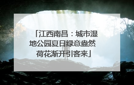 江西南昌：城市湿地公园夏日绿意盎然 荷花渐开引客来