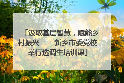汲取基层智慧，赋能乡村振兴——新乡市委党校举行选调生培训课