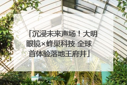 沉浸未来声场！大明眼镜×蜂巢科技 全球首体验落地王府井