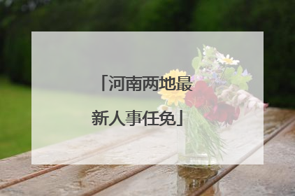 河南两地最新人事任免