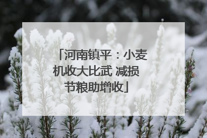 河南镇平：小麦机收大比武 减损节粮助增收