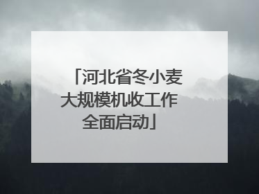 河北省冬小麦大规模机收工作全面启动