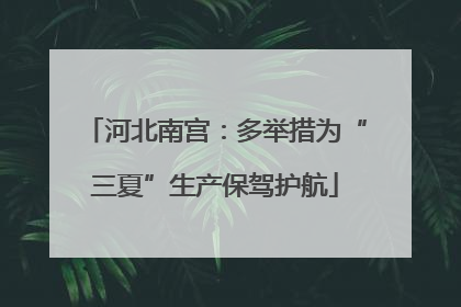 河北南宫：多举措为“三夏”生产保驾护航