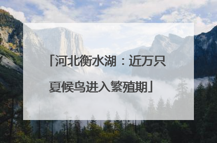 河北衡水湖：近万只夏候鸟进入繁殖期