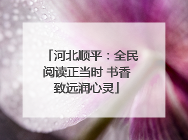 河北顺平：全民阅读正当时 书香致远润心灵
