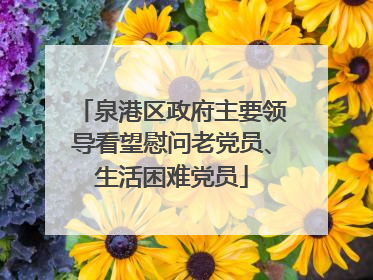 泉港区政府主要领导看望慰问老党员、生活困难党员