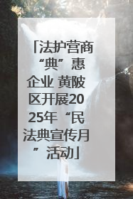 法护营商 “典”惠企业 黄陂区开展2025年“民法典宣传月”活动