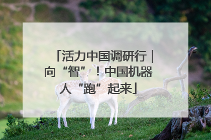 活力中国调研行｜向“智”！中国机器人“跑”起来