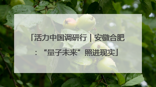 活力中国调研行｜安徽合肥：“量子未来”照进现实