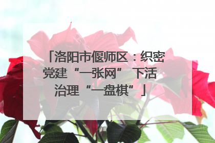 洛阳市偃师区：织密党建“一张网” 下活治理“一盘棋”