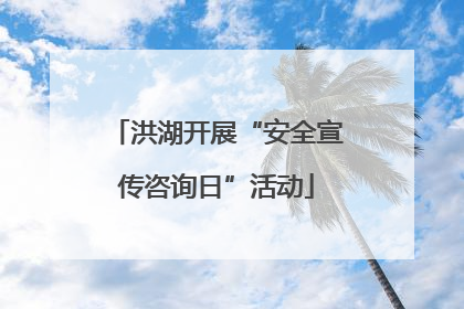 洪湖开展“安全宣传咨询日”活动