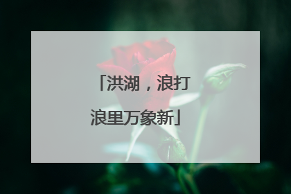 洪湖，浪打浪里万象新