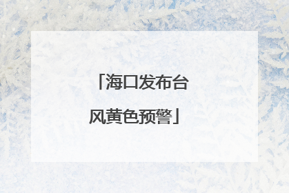 海口发布台风黄色预警
