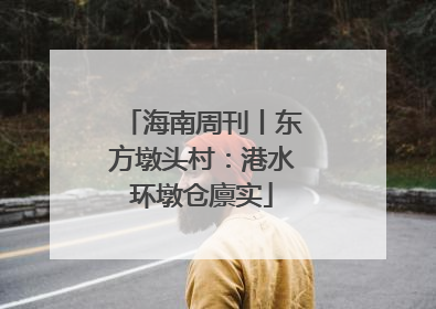海南周刊丨东方墩头村：港水环墩仓廪实