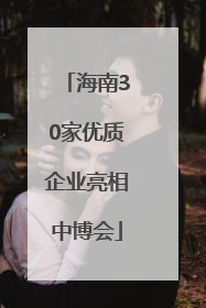 海南30家优质企业亮相中博会