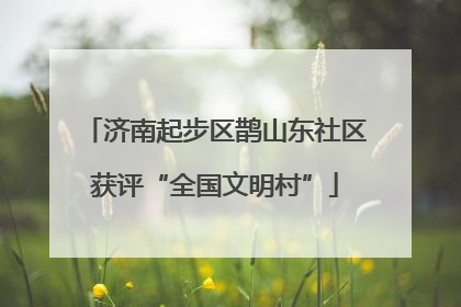 济南起步区鹊山东社区获评“全国文明村”
