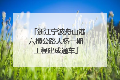 浙江宁波舟山港六横公路大桥一期工程建成通车