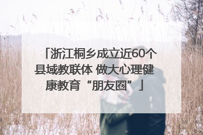浙江桐乡成立近60个县域教联体 做大心理健康教育“朋友圈”