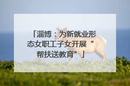 淄博：为新就业形态女职工子女开展“帮扶送教育”