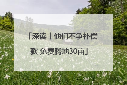 深读丨他们不争补偿款 免费腾地30亩