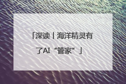 深读丨海洋精灵有了AI“管家”