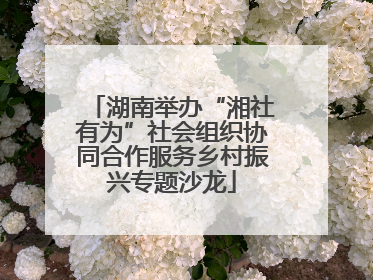 湖南举办“湘社有为”社会组织协同合作服务乡村振兴专题沙龙