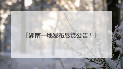 湖南一地发布悬赏公告！