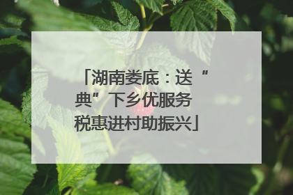 湖南娄底：送“典”下乡优服务 税惠进村助振兴