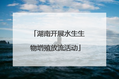 湖南开展水生生物增殖放流活动