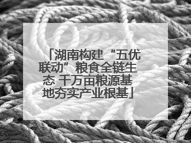 湖南构建“五优联动”粮食全链生态 千万亩粮源基地夯实产业根基